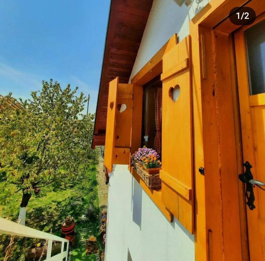 Kuca Za Odmor "Dva Srca" Hotel Ceminac Ngoại thất bức ảnh